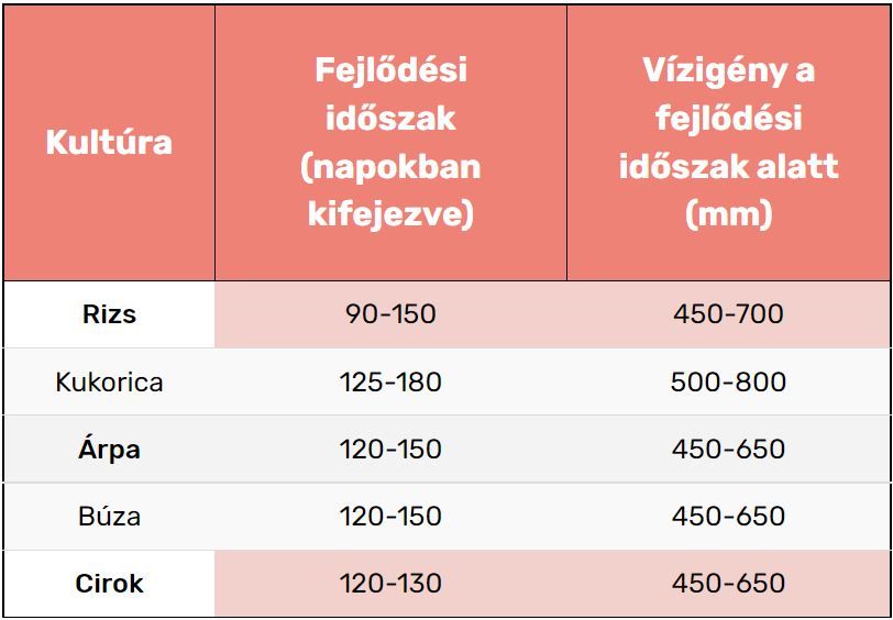 A kukoricához képest a ciroknak rövidebb a fejlődési ciklusa és alacsonyabb a vízigénye a FAO adatai alapján