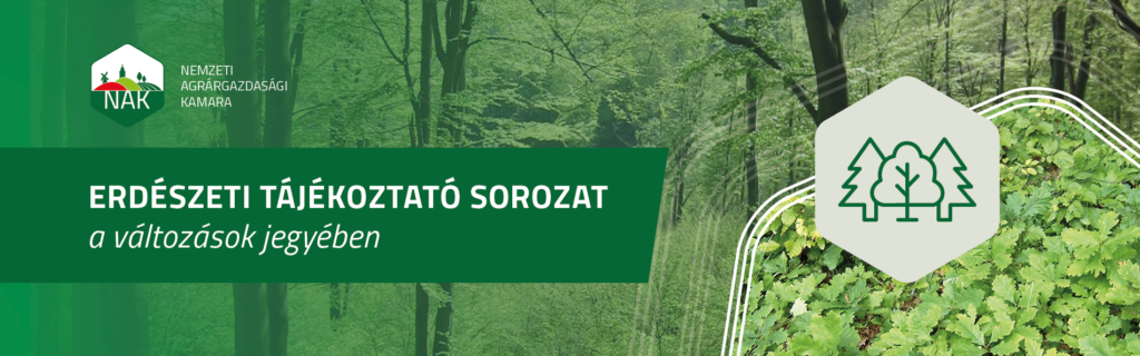 A Nemzeti Agrárgazdasági Kamara online erdészeti tájékoztató fórumának témája az erdei vadkár, annak megelőzése, illetve érvényesítése volt.