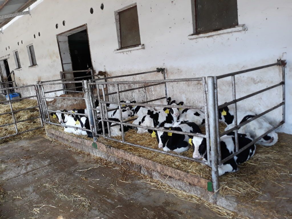 Vakcinagyárat épít a Ceva-Phylaxia Oltóanyagtermelő Zrt. a Pest megyei Monoron 8 milliárd forint értékben - Fotó: Magro.hu, CSZS, Nagykörű, illusztráció