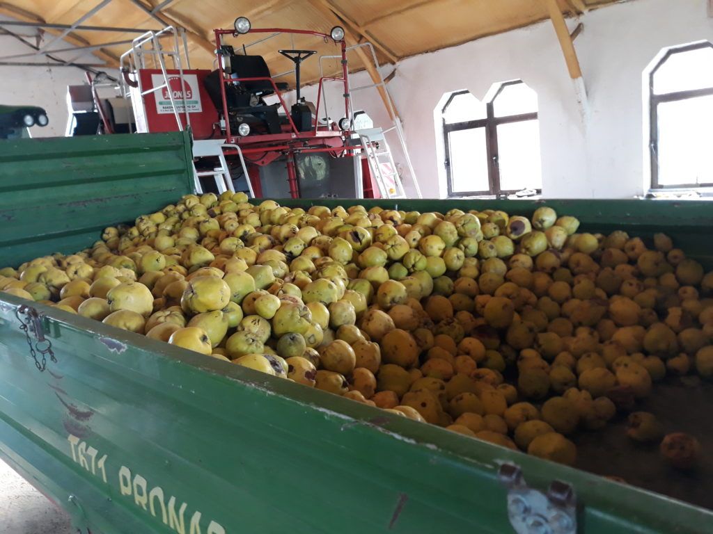 Hiába a rekordtermések, az alultápláltság is meredeken emelkedett a FAO éves statisztikai kiadványa szerint - Fotó: Magro.hu, CSZS, Olaszliszka