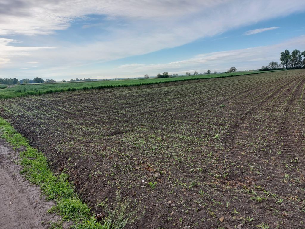 A talajegészség fontosságát is kiemelten bemutatták a Horizontok: Talajbiológiai eredmények és lehetőségek a mezőgazdaságban nevű konferencián - Fotó: Magro.hu, CSZS, Dusnok