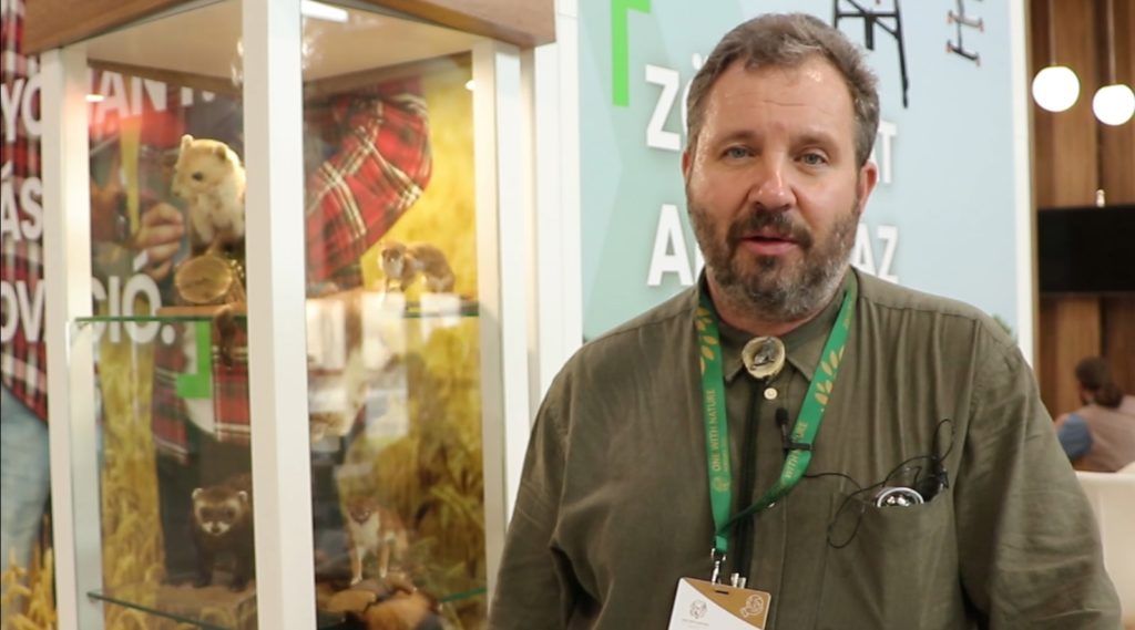 A hermelin élőhelyéről és jellegzetességeiről beszélt a MATE Vadgazdálkodási és Természetvédelmi Intézetének igazgatója, Prof. Dr. Heltai Miklós