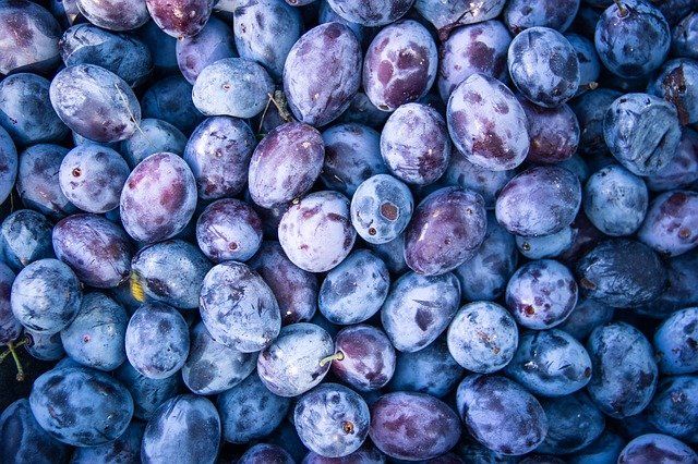 Egyre több piacon jelenik meg az ukrán szilva a FruitVeB beszámolója szerint