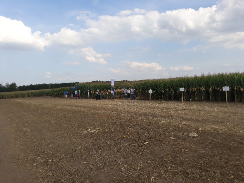 Készülnek a 2023 utáni Közös Agrárpolitika vonatkozó magyar tervei - Fotó: Magro.hu, CSZS, Bábolna