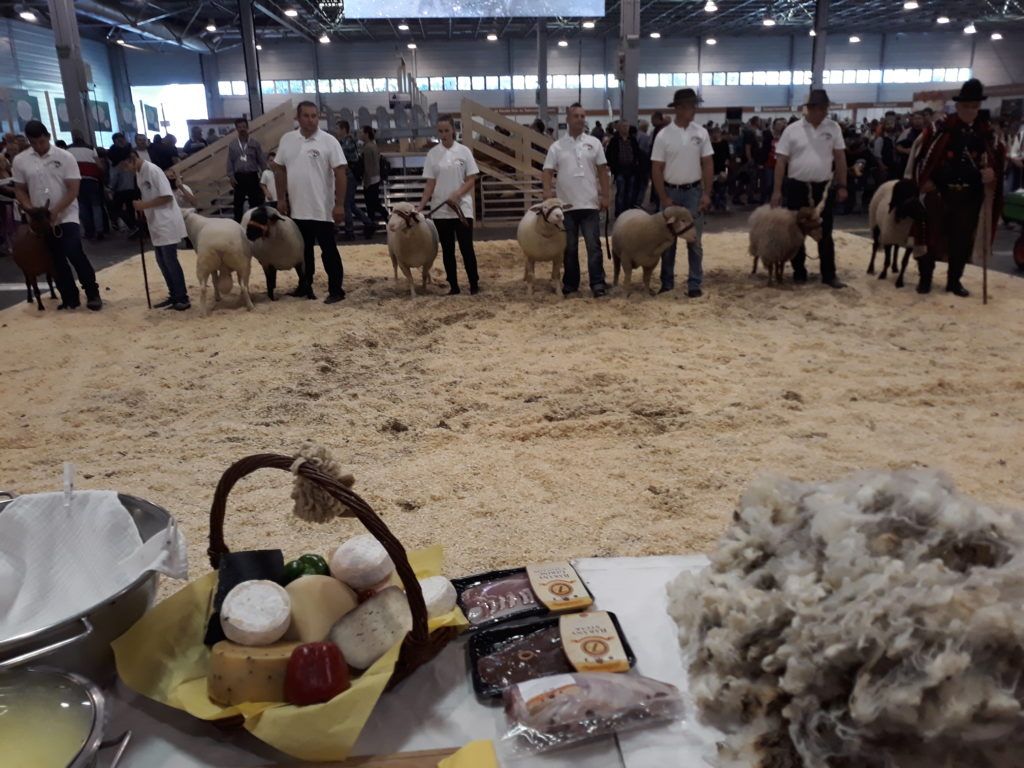 Jól jön a magyar állattartóknak a tenyészkos és tenyészbak tenyésztésbe állítás átmeneti támogatás - Fotó: Magro.hu, CSZS, Budapest, OMÉK2019