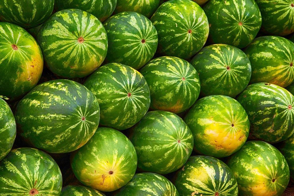 150 és 200 Ft/kg árakon van kint a pultokon. Elindult az import is, mintha itthon már véget ért volna a szezon. Hol a hiba?
