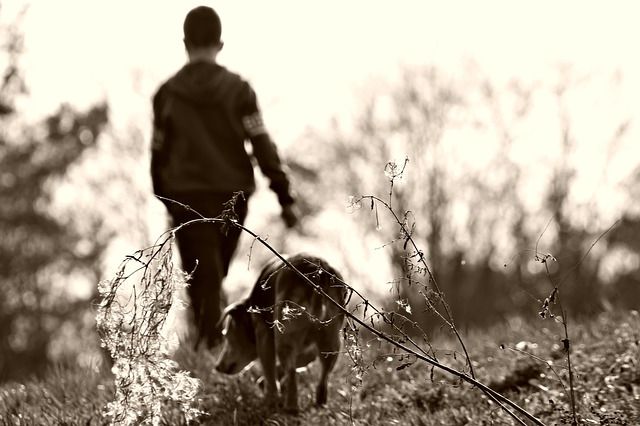 A háziállatok biztonsága újabb időszakokban veszélyeztetett: az élősködők a korábbitól eltérő körülmények között is aktívakká váltak