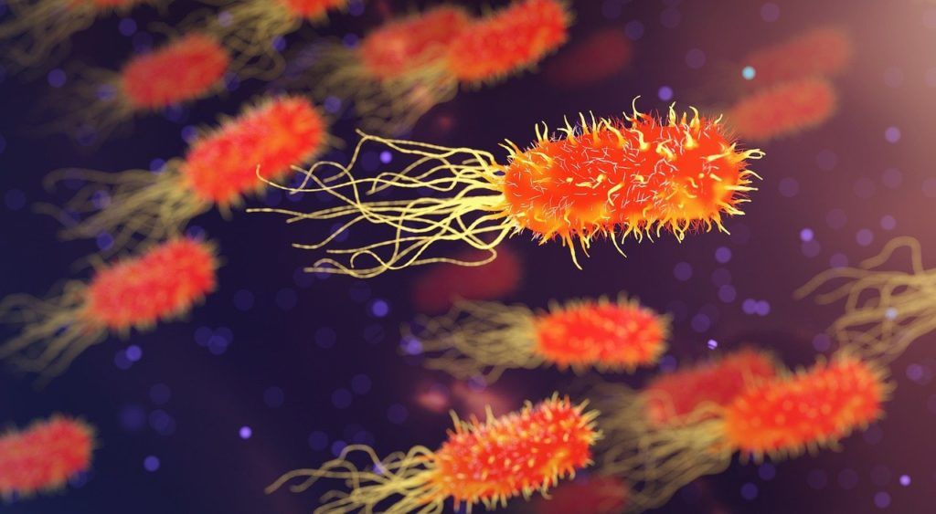 Az antibiotikumos kezelés elpusztítja az érzékeny baktériumokat, így az ellenállók fognak elszaporodni