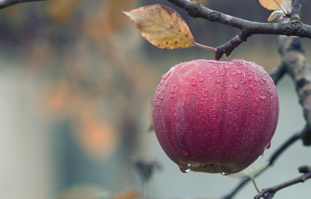 A Twister gépekben speciális légterelőkkel örvényszerű légárammal jutnak a permetcseppek a növényzetre