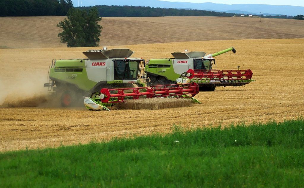 A Zala megyei gazdálkodók a nyári időszakban 45 099 hektáron takarítják be a termést