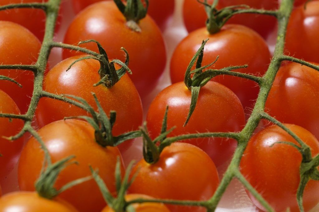 A dolgozói állomány viszonylag állandó, a környék falvaiban ugyanis kevés a munkalehetőség