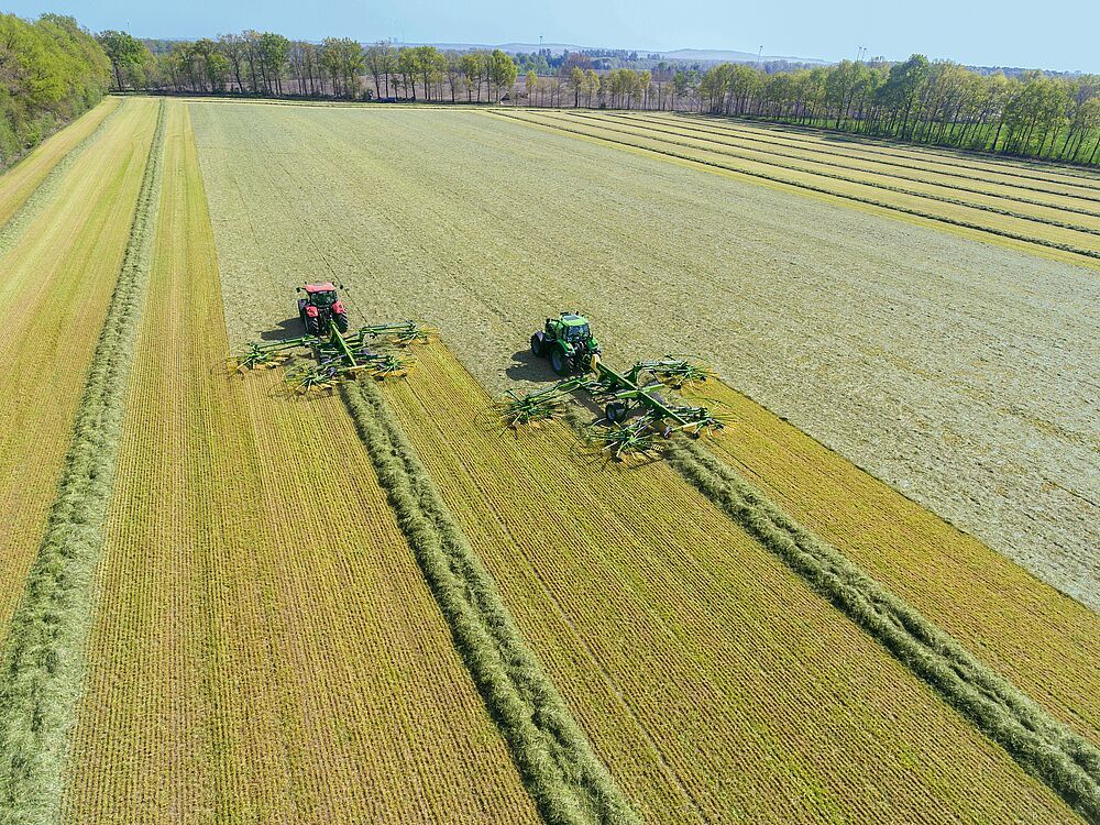 A 2030-ig tartó időszakra szóló uniós biodiverzitási stratégia: Hozzuk vissza a természetet az életünkbe!” címmel állásfoglalást fogadott el a biológiai sokféleség világméretű válságának kezelésére az Európai Parlament