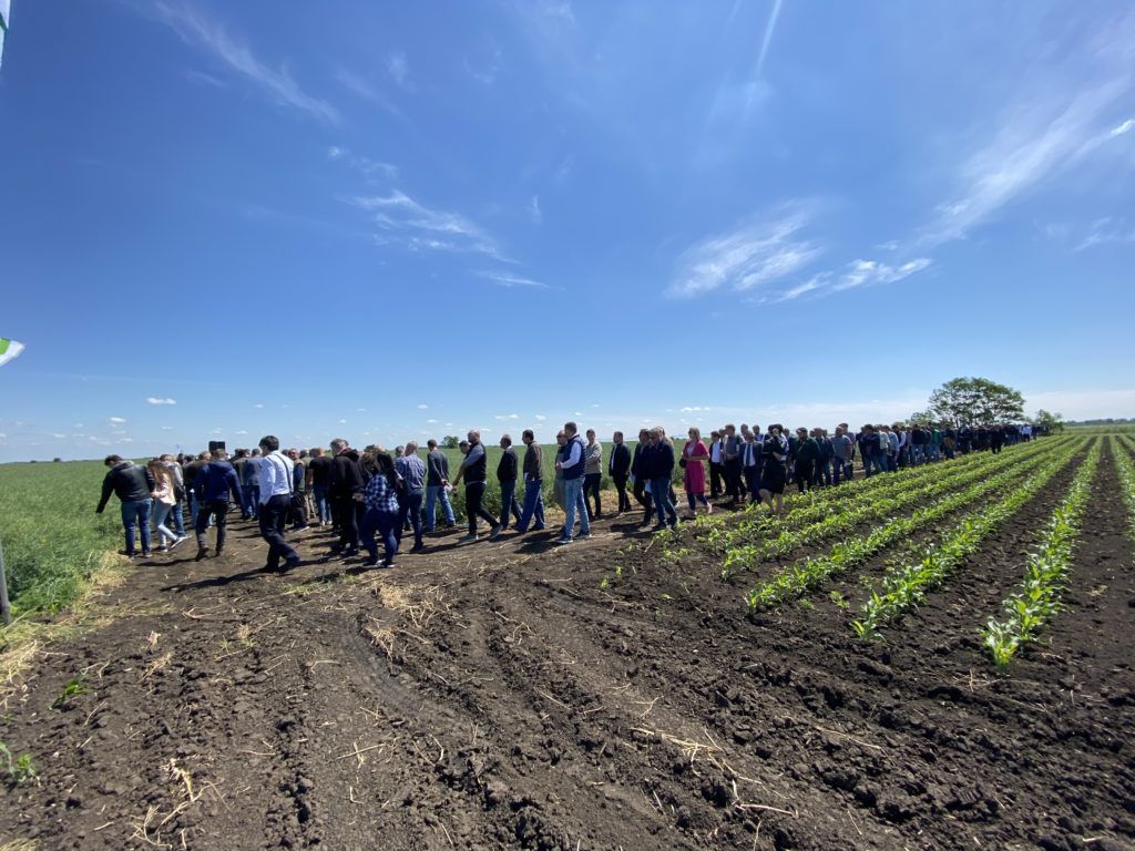 Új helyzet a magyar agrárpiacon: nagy mezőgazdasági integrátor cég alakult AgroLink Zrt. néven - Fotó: Magro.hu, BT, Nádudvar