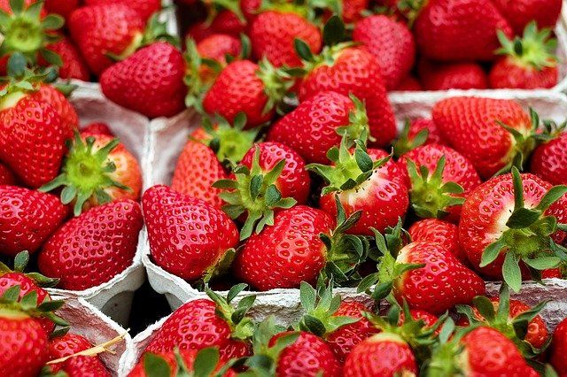 A szokásos időponthoz képest nagyjából két hét késéssel, de megérkezett magyar szabadföldi szamóca