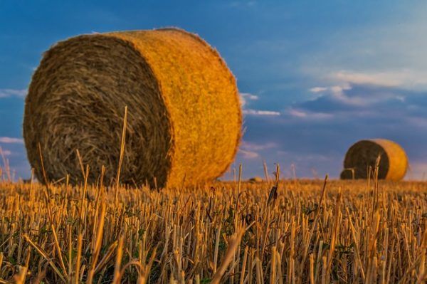Hogyan lehet összeegyeztetni az agrárium versenyképességét a környezetvédelemre és fenntarthatóságra vonatkozó társadalmi elvárásokkal