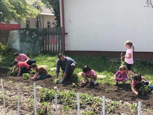 Az Ovikert program a gyakorlatban - Forrás: Ovikertprogram.hu