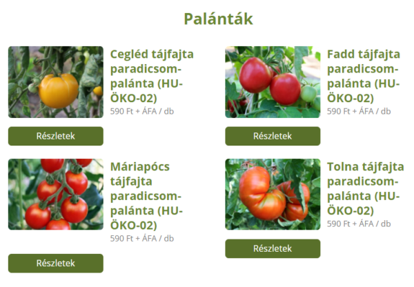 A 4 magyar tájfajta paradicsom árai