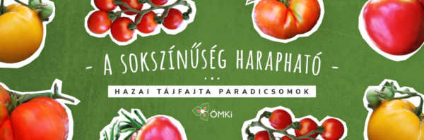 Magyar tájfajta paradicsomok