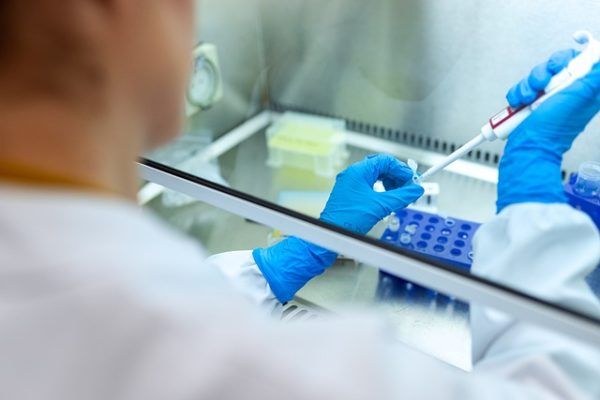 A DNS-információ átírására szolgáló eszközzel gének inaktiválhatók, vagy
célzottan módosíthatók