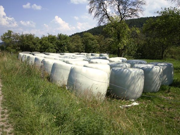 A csomagolószövetség szerint a politikai elgondolások differenciálása lehetne
a megoldás