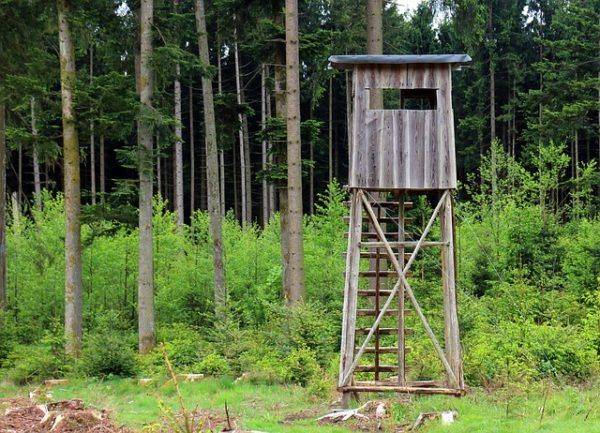 A természetben zajló gazdálkodási forma, amelyre a film szerint elengedhetetlen
szükség van