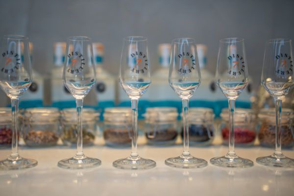 Kitöltött gin adagok Bodrogkisfaludon