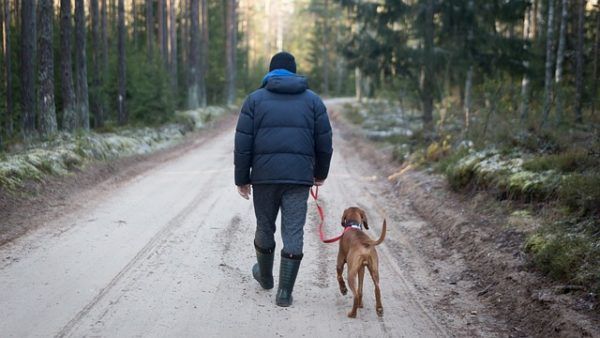 A kutyatartók a vadászati hatóságtól tudhatják meg, hogy a kutyájukkal rendszeresen látogatott terület vadászterületnek minősül-e
