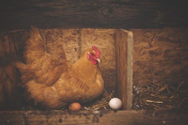 A sorozatos nehézségek hatása az árakra is rányomja a bélyegét. A tavalyi időszak árai köszönnek vissza