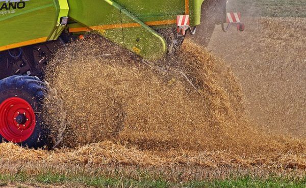 A természeti katasztrófák nagyban veszélyeztetik és károsítják az agrár-élelmezési rendszereket, az első számú veszteségokozó az aszály