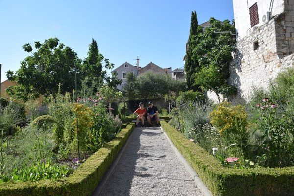 Az idejében elvégzett lemosó permetezés segít megvédeni a növényeket a betegségektől és a kártevőktől - képünk illusztráció