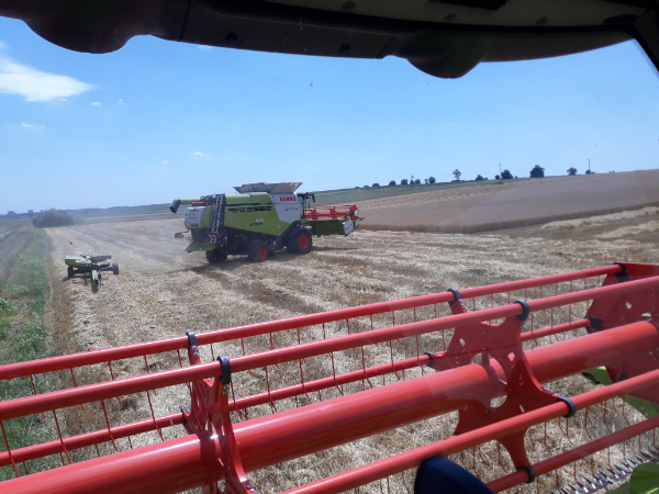 Megvan, milyen évet zárt a magyar agrártermelés 2020-ban - Fotó: Magro.hu, CSZS, Tápióbicske