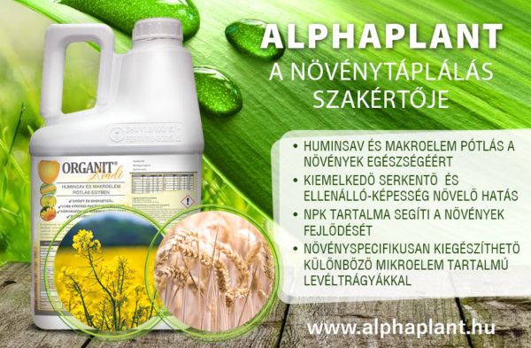 Az Organit Kondi előnyei