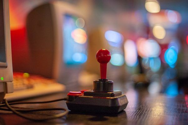 A disznókat megtanították arra, hogy megértsék a „joystick” és a „figyeld a képernyőt!” parancsokat