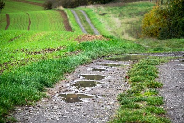 Sok pénzt bukhatnak a gazdák, ha nem csatlakoznak a krízisbiztosítási rendszer tagjai közé
