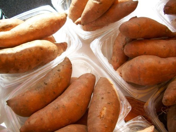 A Feedase-hatás csökkentette a tápanyagok pazarlását