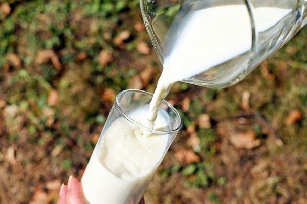 Csökkenthető a tehénállományra és a tej minőségére gyakorolt hatás