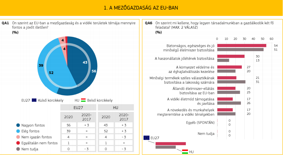 Feladatok és fontosság a megkérdezettek szerint