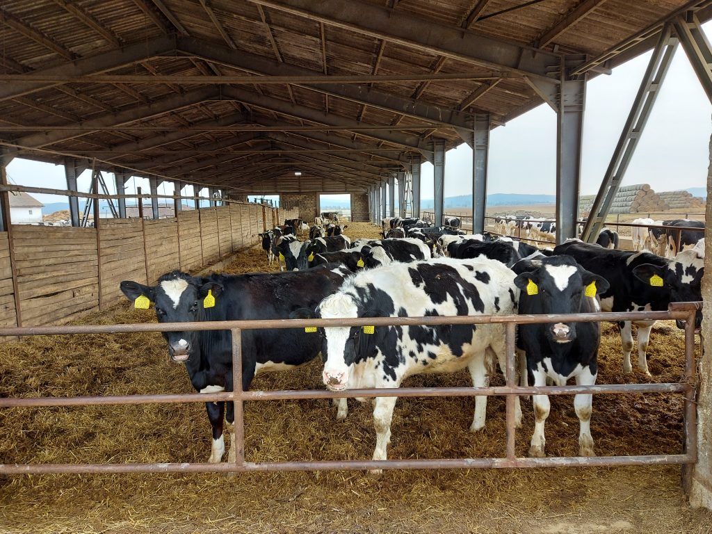 2027-ig mintegy 2900 milliárd forintnyi agrár- és vidékfejlesztési forrás felhasználása nyílik meg a pályázók számára - Fotó: Magro.hu, CSZS, Érsekvadkert