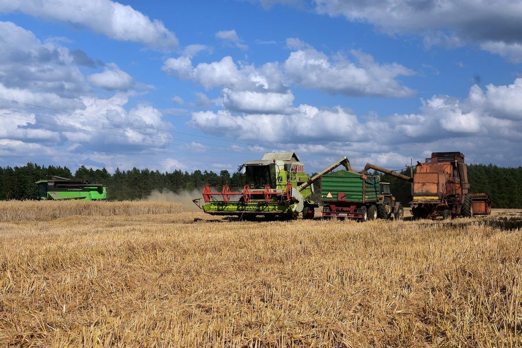 Fontos, hogy az agrárszektor vonzó maradjon a gazdálkodók következő generációja számára - jelentette ki Maros Sefcovic uniós biztos a franciaországi Strasbourgban, az Európai Parlament plenáris ülésén - fotó: Pixabay, illusztráció