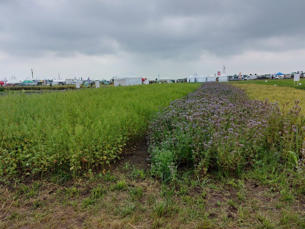 A Magyarországi Agroökológia Hálózat Egyesület célja összekötni és megerősíteni az agroökológiával foglalkozó egyéneket és szervezeteket - Fotó: Magro.hu, CSZS, Mezőfalva