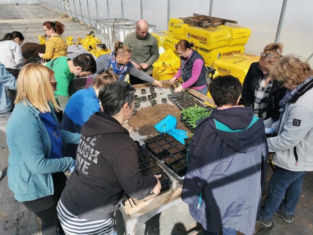 A kertészeti felnőttképzés egyik 2023-as képe