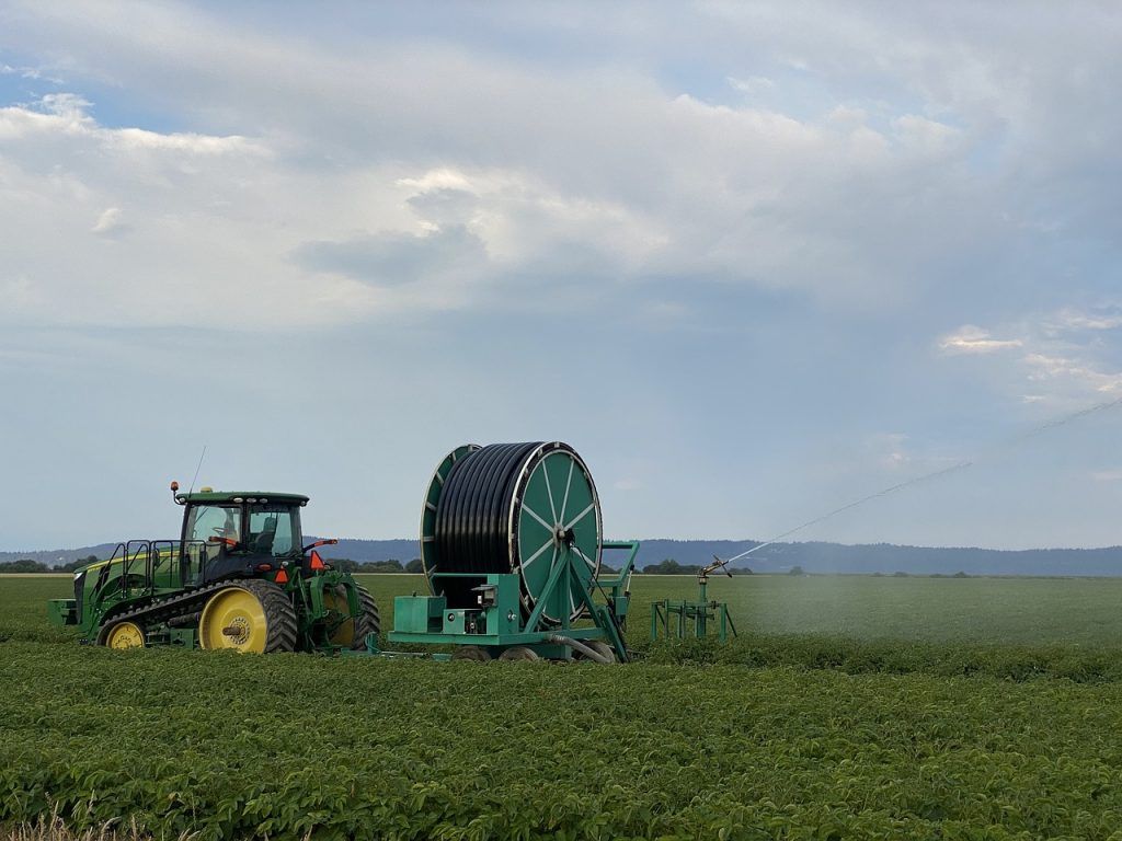 A Debreceni Egyetem MÉK Agrár Genomikai és Biotechnológiai Központ kutatóinak vizsgálatai azt igazolták, hogy a mágnesezett öntözővíz elősegíti a növények növekedését és fejlődését, fokozza a hozamot, és javítja a termés minőségét is - képünk illusztráció