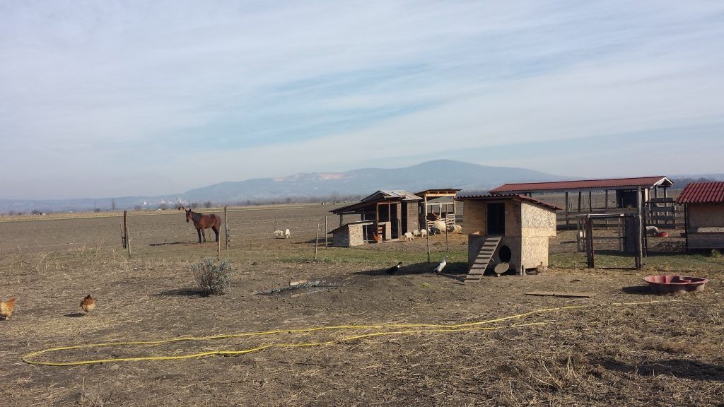 A HUN-REN Agrártudományi Kutatóközpont Talajtani Intézetének (HUN-REN ATK TAKI) kutatói marginális mezőgazdasági területekkel foglalkozó tanulmányt jelentettek meg az Agricultural Systems című folyóiratban - Fotó: Magro.hu, CSZS, Tahitótfalu, illusztráció