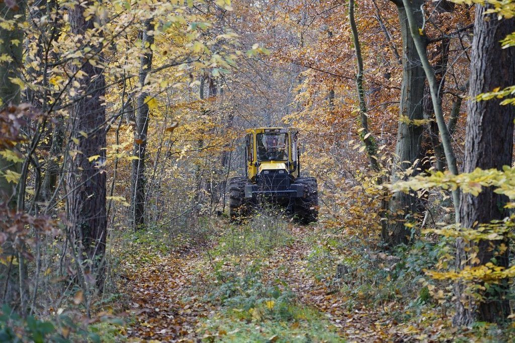 Több agrártárgyú jogszabálymódosítási folyamat zárult le 2023 decemberében, ehhez kapcsolódóan a NAK közölt az erdőgazdálkodást érintő változásokról szóló összefoglalót