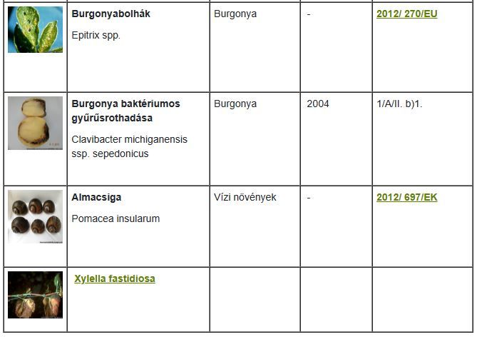 A bejelentés-kötelezett károsítók listájának második része - Forrás Nébih