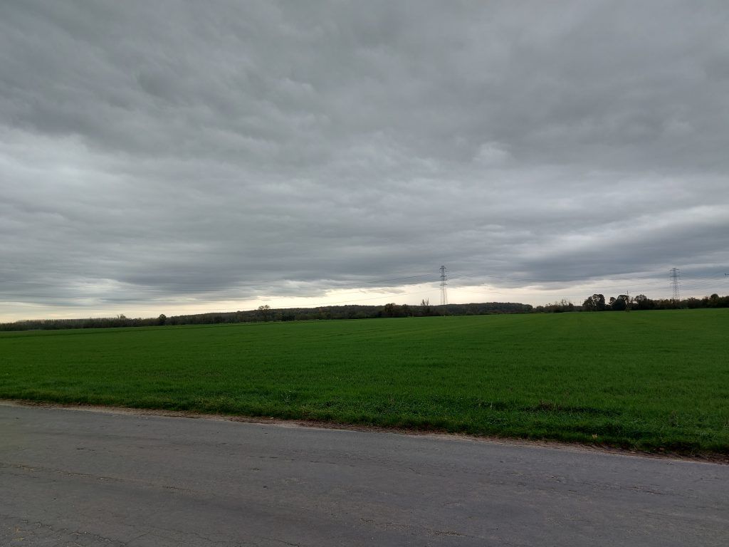A földforgalmi törvény legutolsó módosításait is összefoglalja a NAK tájékoztatása az előhaszonbérleti jogosultak sorrendjéről - Fotó: Magro.hu, CSZS, Bogyoszló