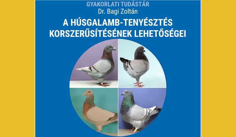 Tanulmánykötetben összegezték a galambhús-termelés szempontjából meghatározó, aktuális molekuláris genetikai kutatásokat a Debreceni Egyetem munkatársai