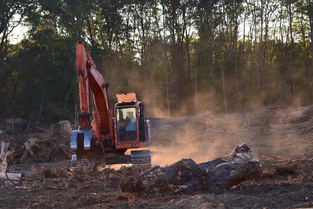 Az Amazon Conservation nevű civil szervezet jelentése szerint jelentősen, több mint 55 százalékkal csökkent az erdőirtás mértéke az amazonasi esőerdőkben - képünk illusztráció