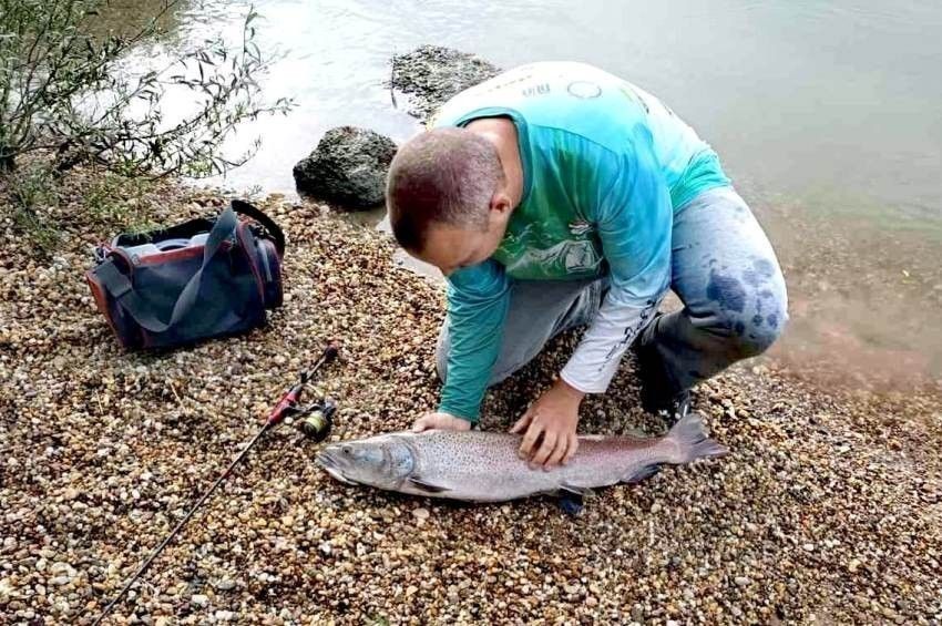 Parton a dunai galóca Farkas Csaba kezei között