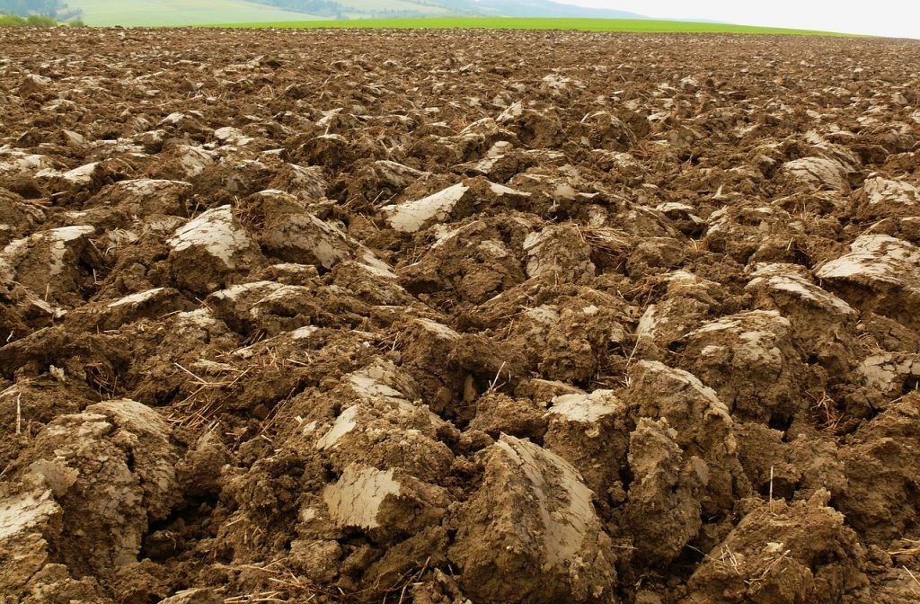 Hazánkban évről évre nő azoknak a területeknek a nagysága, ahol eltűnik a termőtalaj. Ennek oka az erózió mellett többek között a nem megfelelő agrotechnológiai, talajkezelési módszer alkalmazása